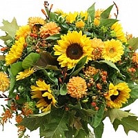 קייץ באוויר קייץ באוויר